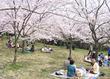 県立塚山公園 県立塚山公園
